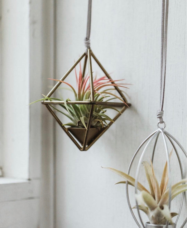 Corporate Event Venue in Mickleton, NJ That Inspires Connection