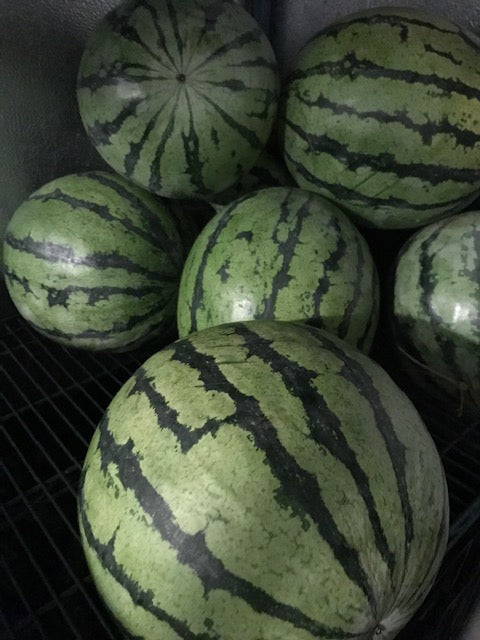 Fruit, Organic mini seedless Watermelon